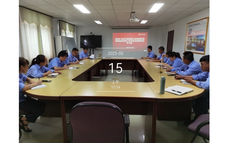 深入学习主题教育思想落实巡视工作——海控矿业召开省委巡视组巡视海南控股党委工作动员会精神传达学习会