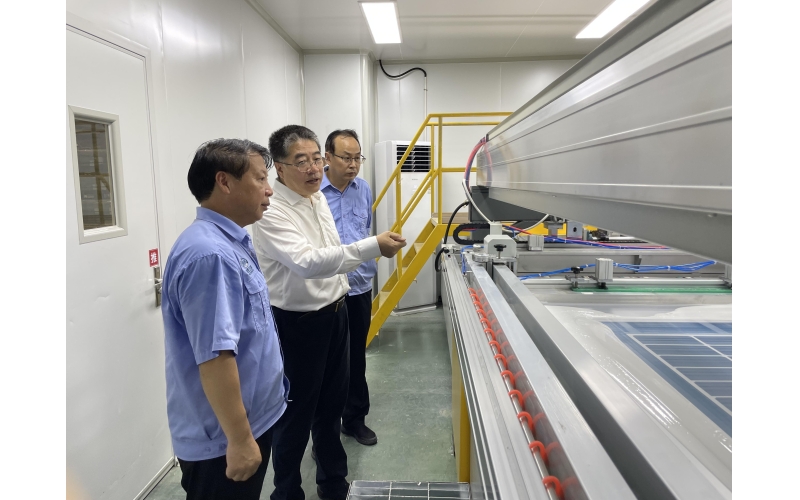 海南发展党委书记董事长王东阳到海控三鑫调研
