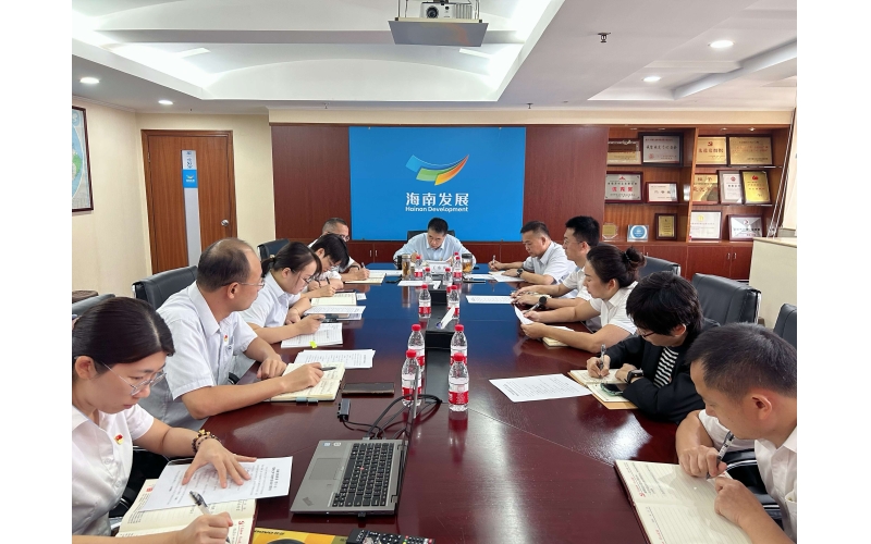 海南发展召开党委（扩大）会议总结党纪学习教育 部署推进常态化长效化工作